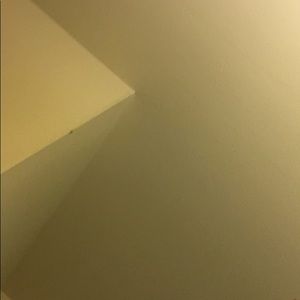 Meet your Posher, Janell